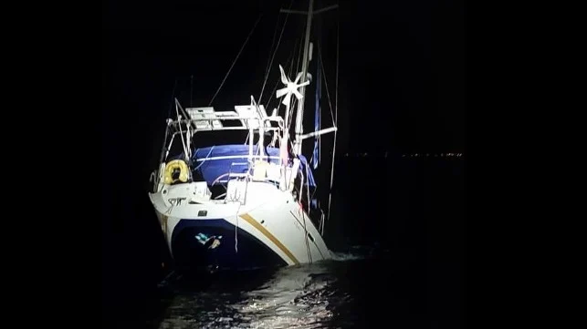 Orcas Sink Yacht in Strait of Gibraltar